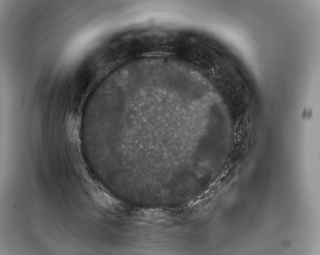 X0000100360146200806131022