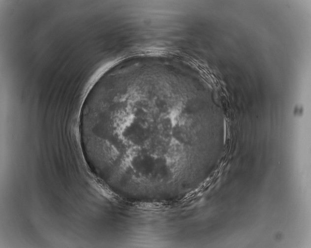 X0000100360147200806131022