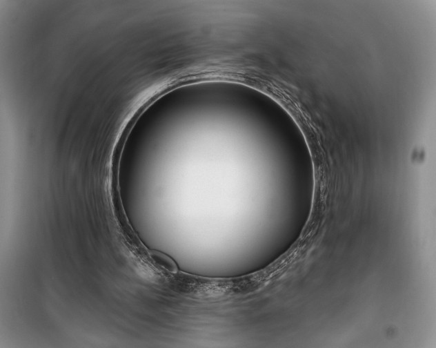 X0000100360148200806131022