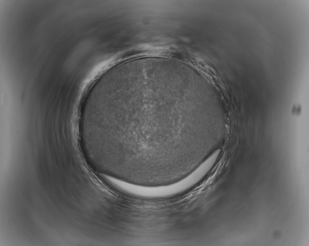 X0000100360149200806131022