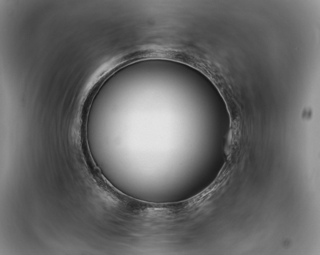 X0000100360150200806131022