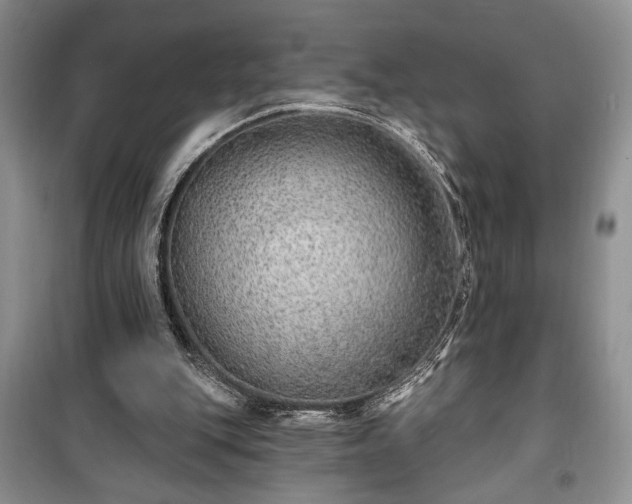 X0000100360151200806131022