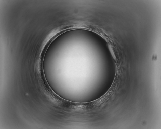 X0000100360152200806131022