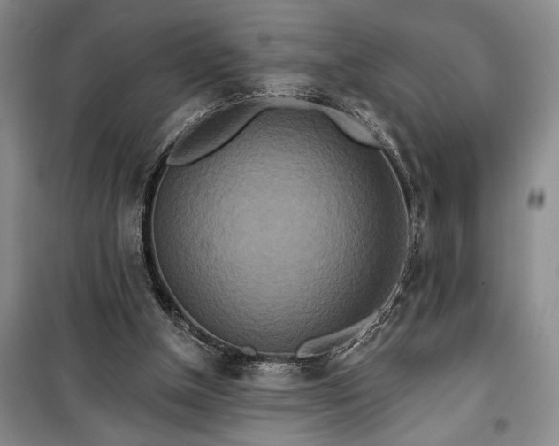 X0000100360154200806131023