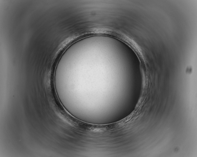 X0000100360155200806131023