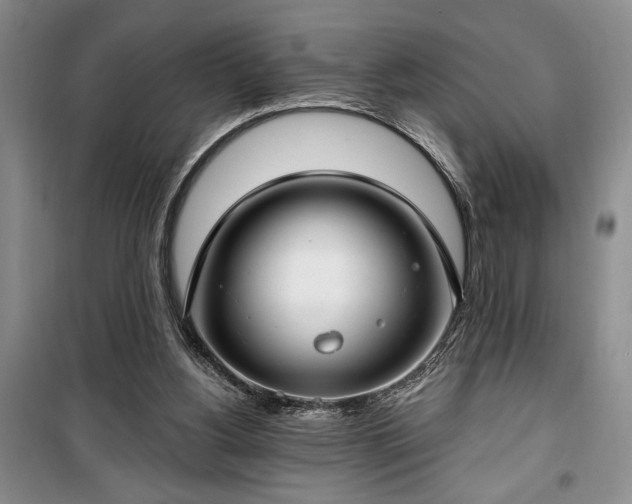 X0000100360156200806131023