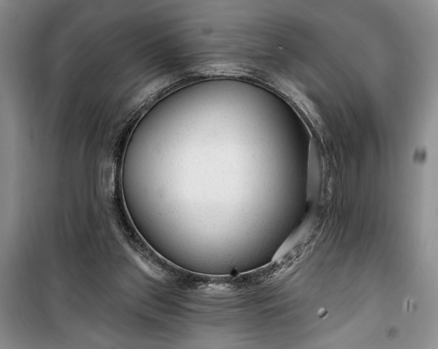 X0000100360157200806131023