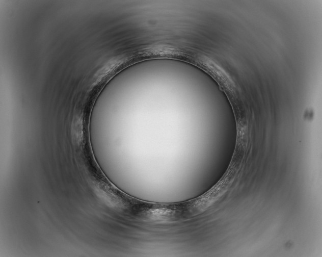 X0000100360158200806131023