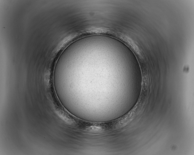 X0000100360159200806131023