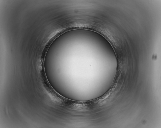 X0000100360160200806131023