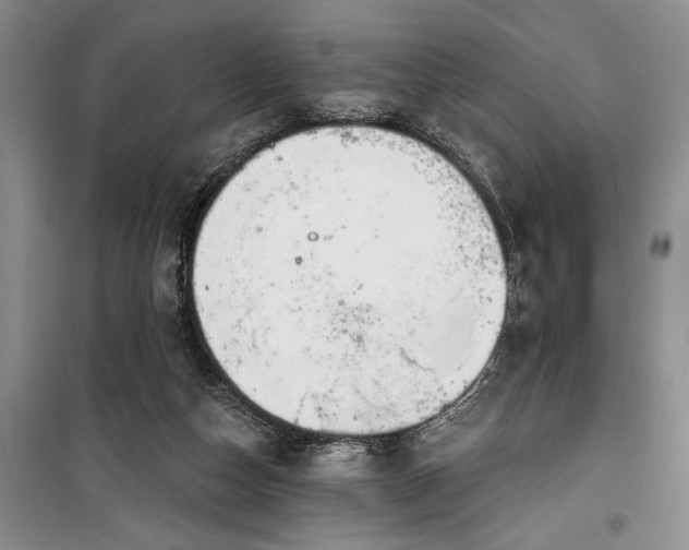 X0000100360162200806131023