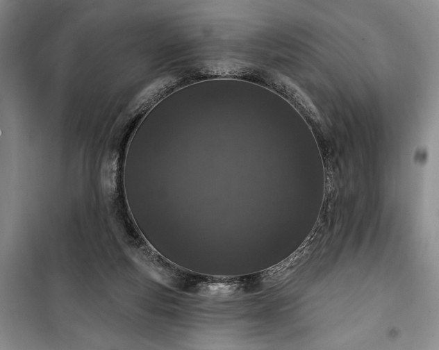 X0000100360163200806131023