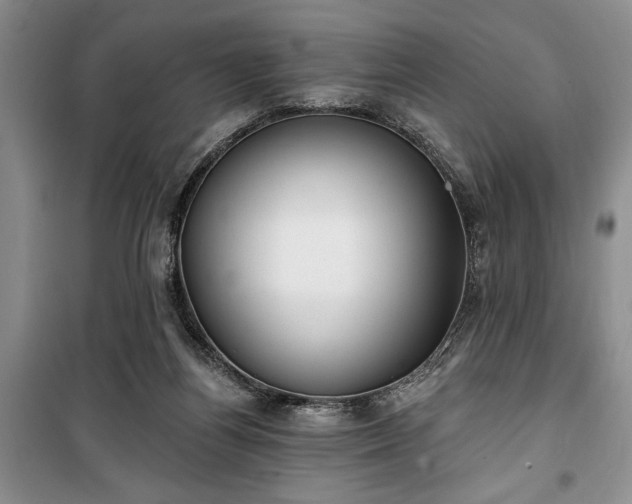 X0000100360164200806131023