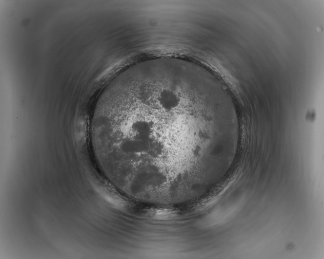 X0000100360165200806131023