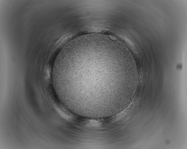 X0000100360166200806131023