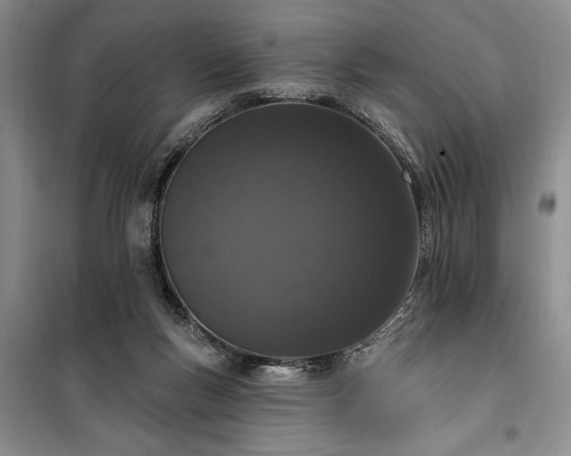 X0000100360167200806131023