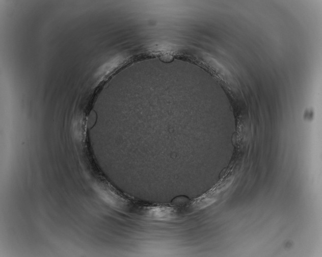 X0000100360168200806131023