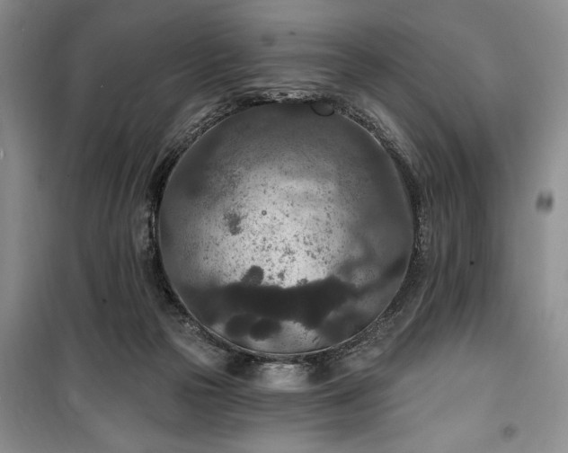 X0000100360169200806131023