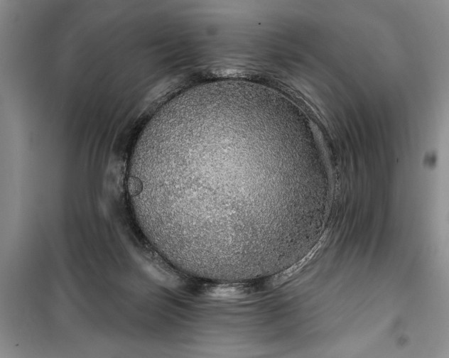 X0000100360171200806131023