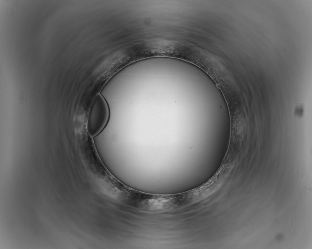 X0000100360172200806131023