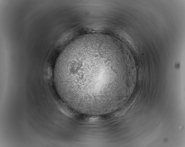 X0000100360173200806131023