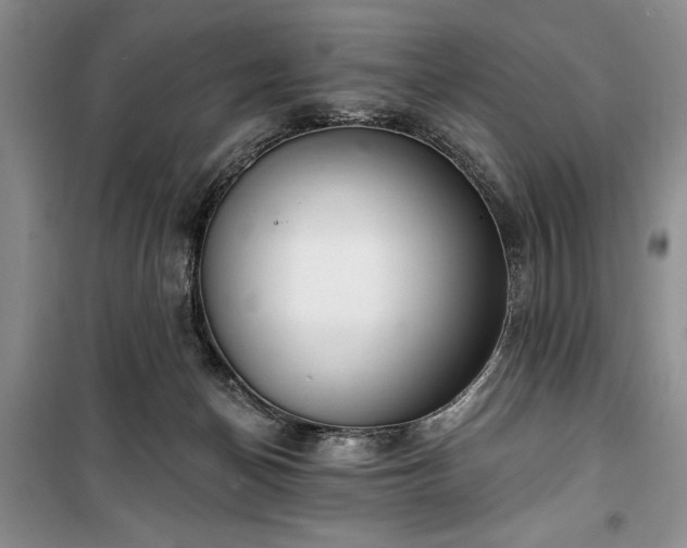 X0000100360174200806131023