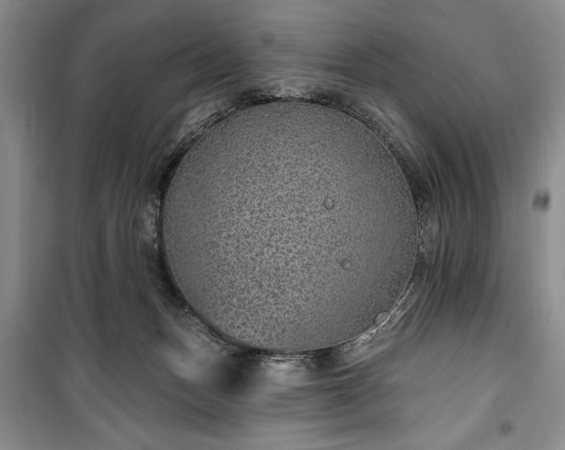 X0000100360175200806131023