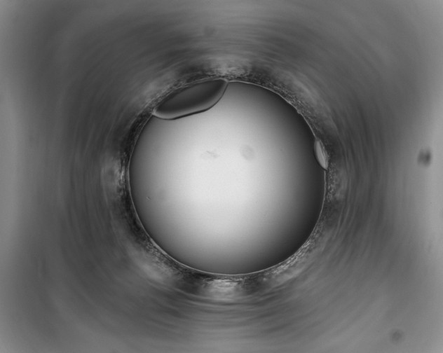 X0000100360176200806131023