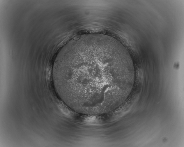 X0000100360177200806131023