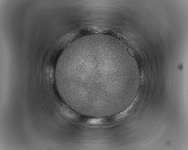 X0000100360178200806131023