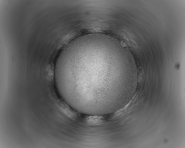 X0000100360179200806131023