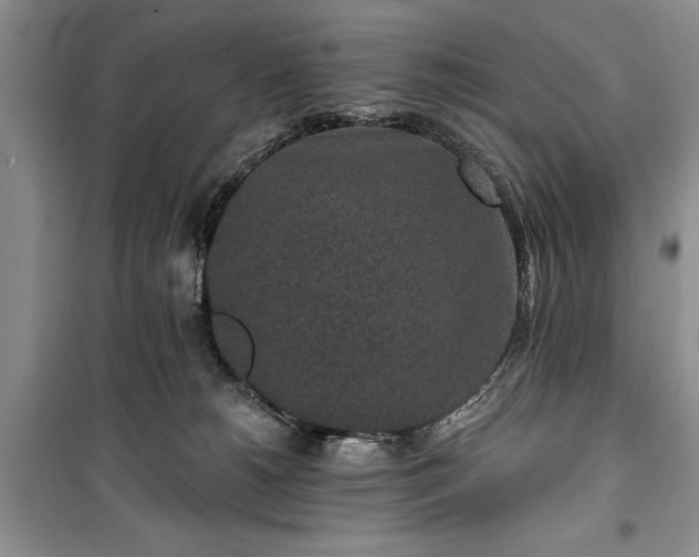 X0000100360180200806131023