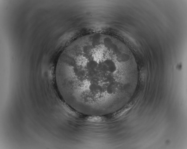 X0000100360181200806131023