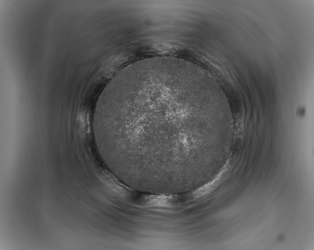 X0000100360182200806131023