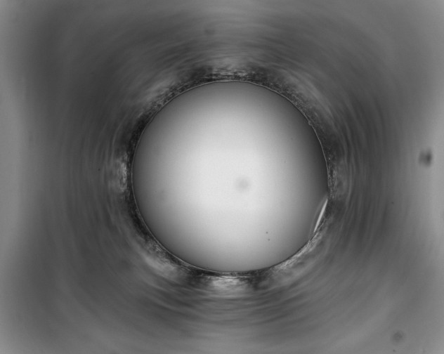 X0000100360183200806131023