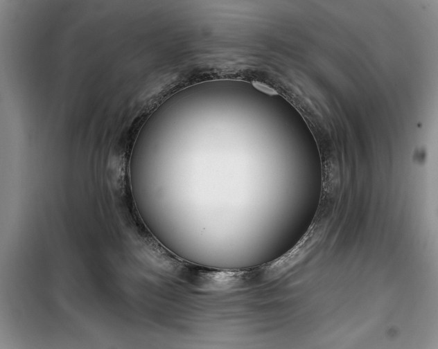 X0000100360184200806131023