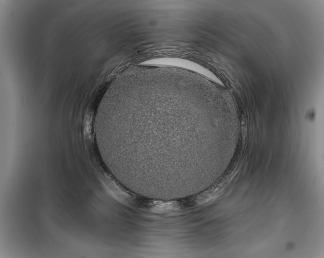 X0000100360185200806131023