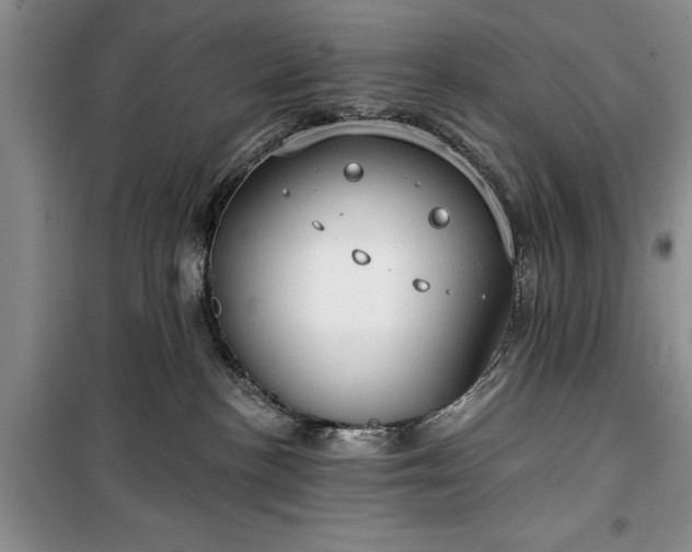 X0000100360188200806131023