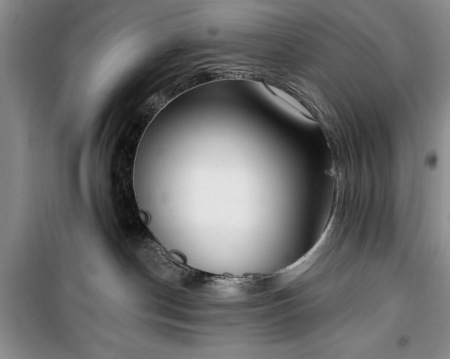 X0000100360190200806131023