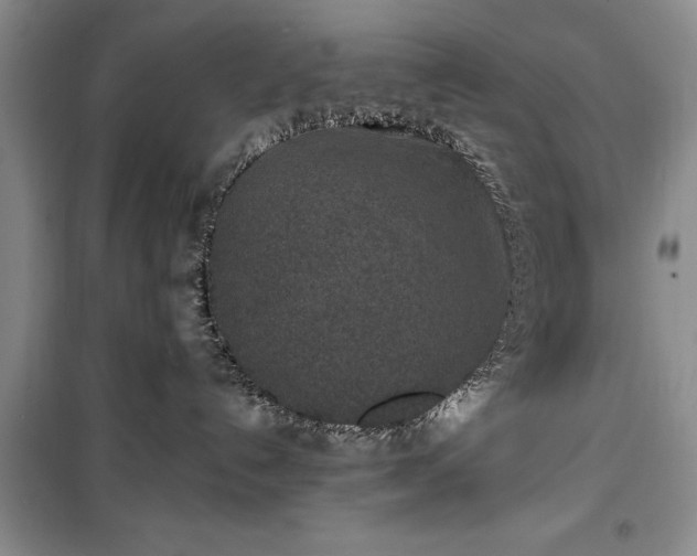 X0000100360192200806131023