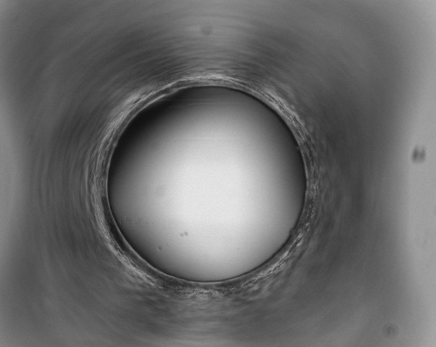 X0000100360193200806131022