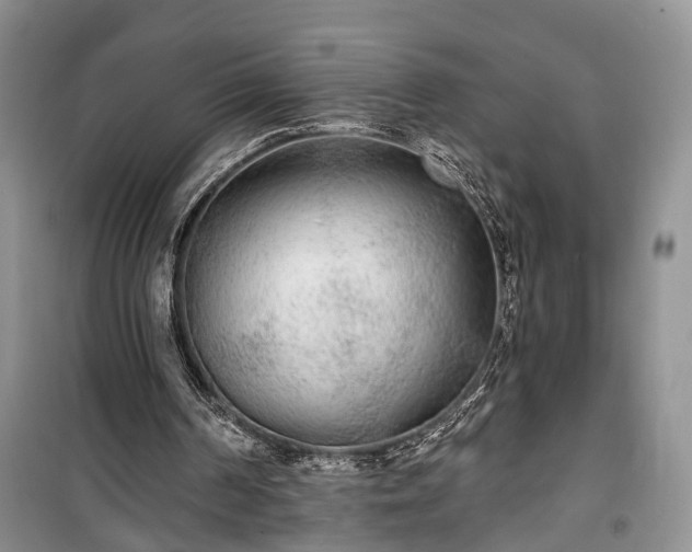 X0000100360194200806131022