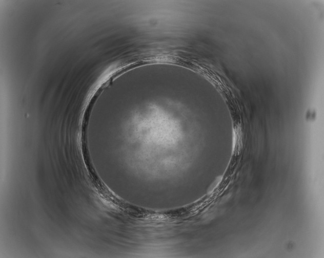 X0000100360195200806131022