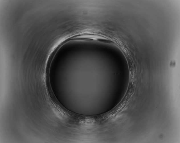 X0000100360196200806131022