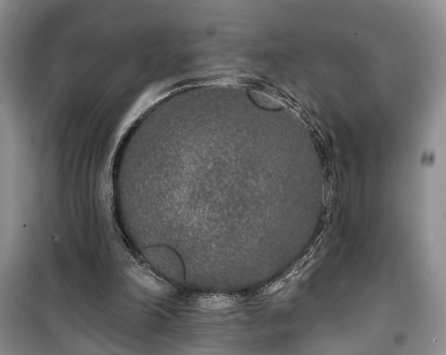 X0000100360198200806131022