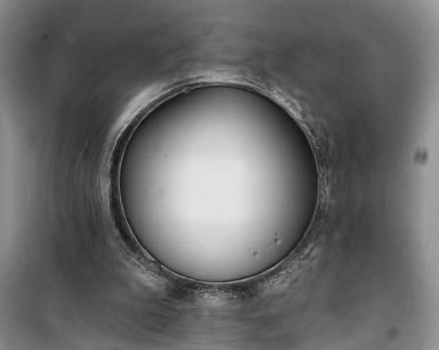 X0000100360199200806131022