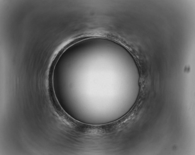 X0000100360200200806131022