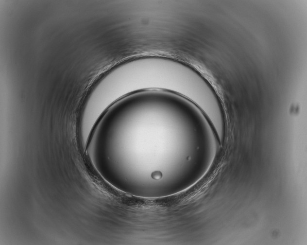 X0000100360201200806131022