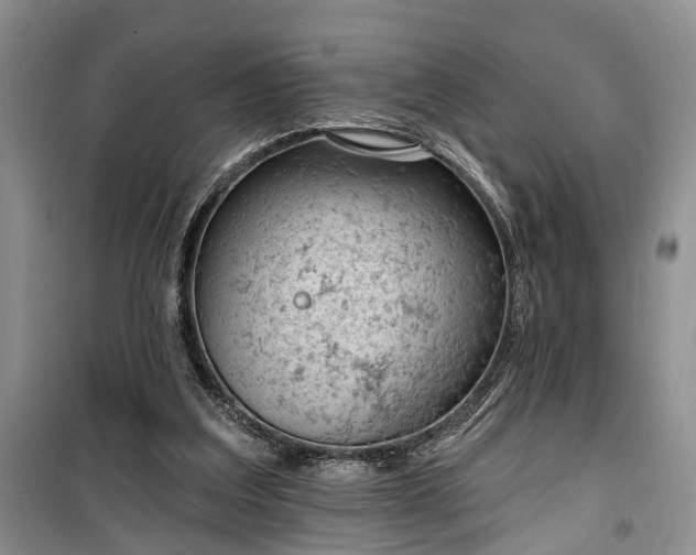 X0000100360203200806131022