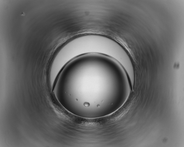 X0000100360205200806131022